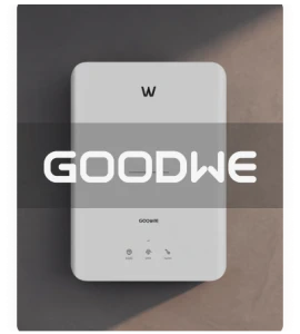 Goodwe
